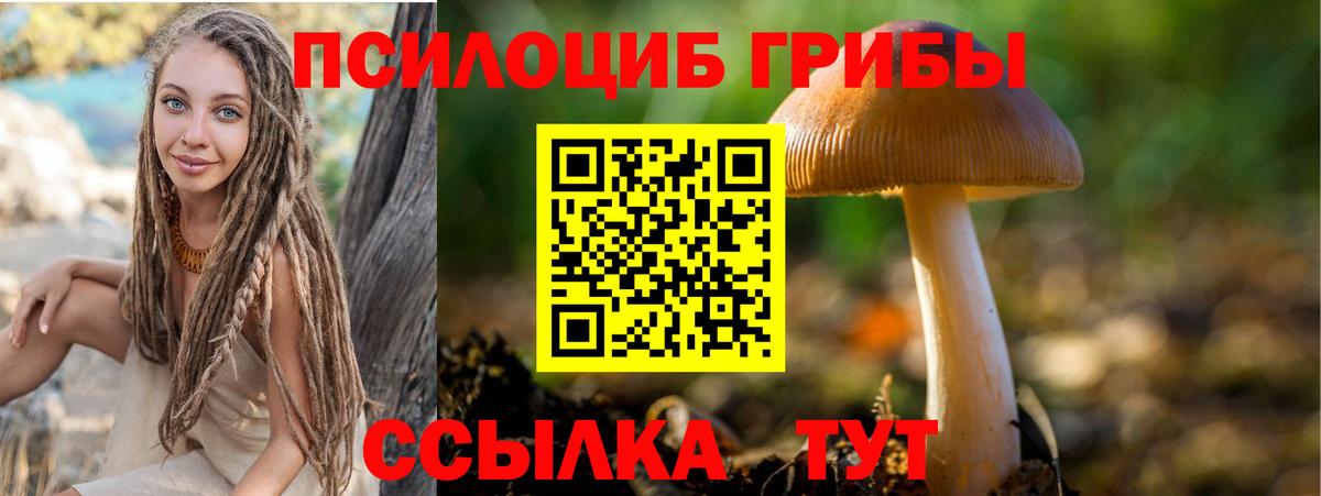 Галлюциногенные грибы Cubensis  Вход с VPN  Артём 